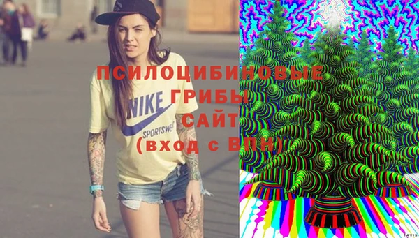 Альфа ПВП Коряжма