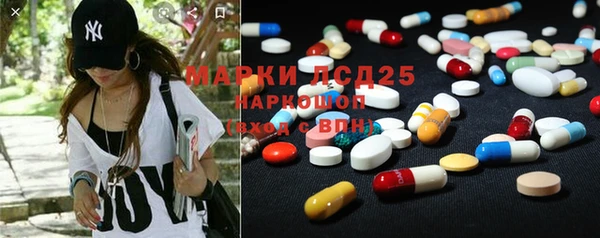 PSILOCYBIN Корсаков