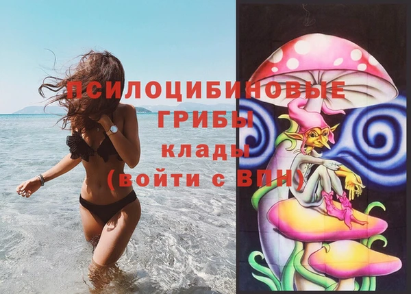 apvp Красноперекопск
