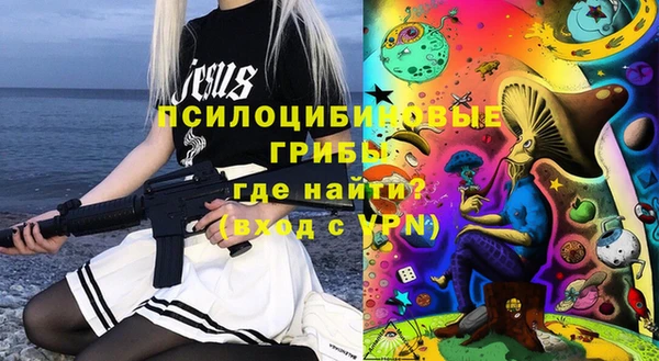 PSILOCYBIN Корсаков