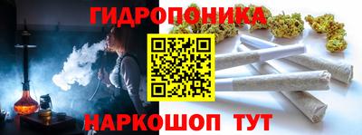 spice Гусиноозёрск