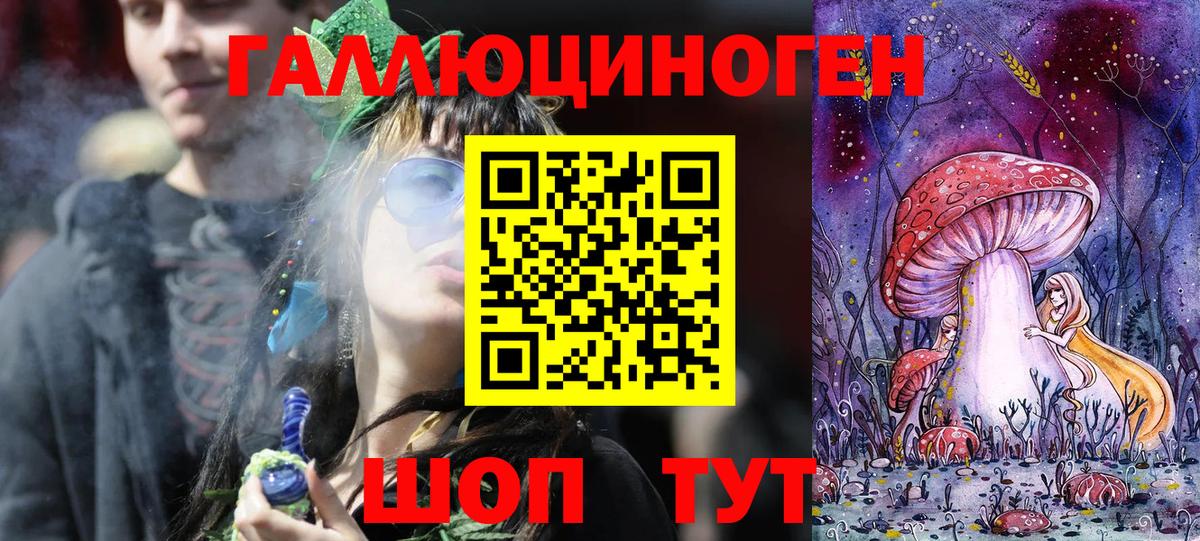 Псилоцибиновые грибы прущие грибы Красный Сулин