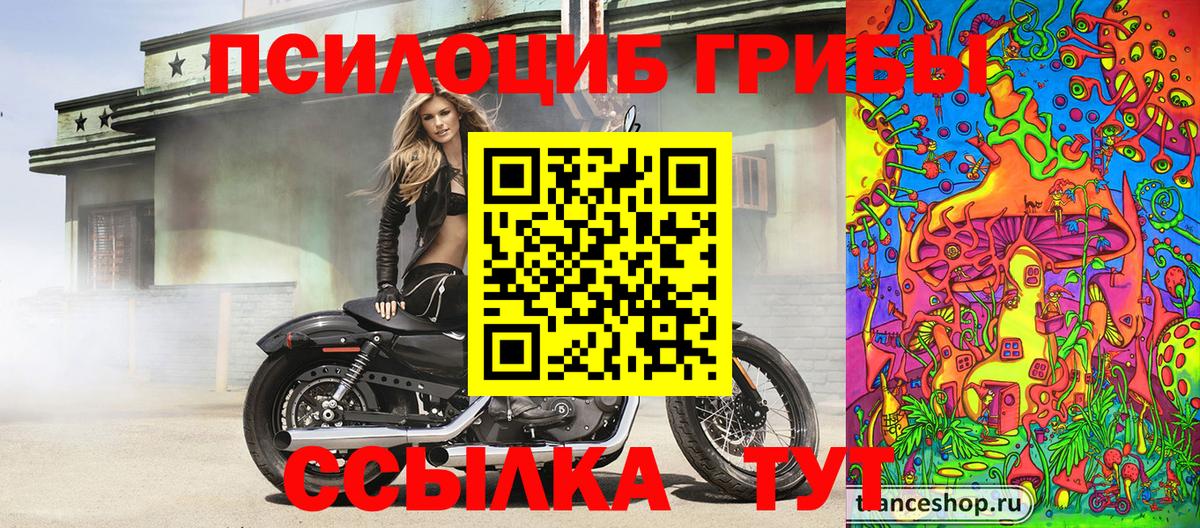 Псилоцибиновые грибы Psilocybine cubensis Красный Сулин