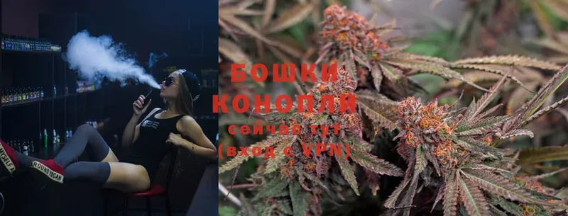 Марихуана OG Kush  Красный Сулин 